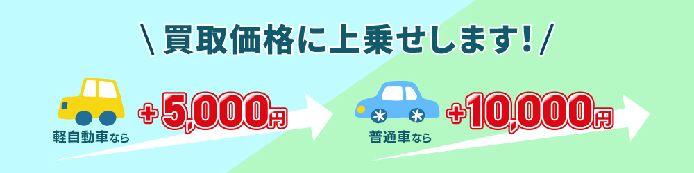 軽自動車ならプラス＋5,000円、普通車ならプラス10,000円"