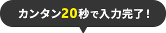 カンタン２０秒で入力完了!