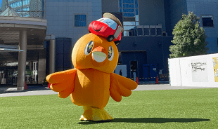 決勝戦当日の朝